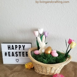 Easter Bunny Basket ft