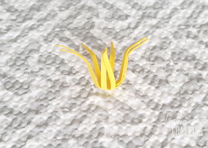 Tulip Paper Flower 20
